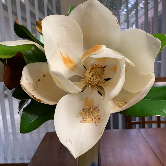 Meet your Posher, Kim - Picture 1 of 1